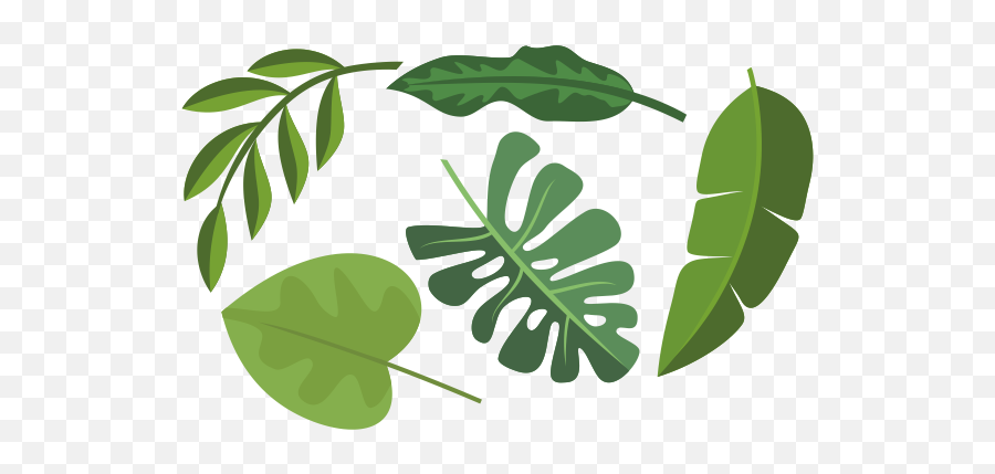 Collection Of Tropical Leaves Emoji,Tropical Leaves Png