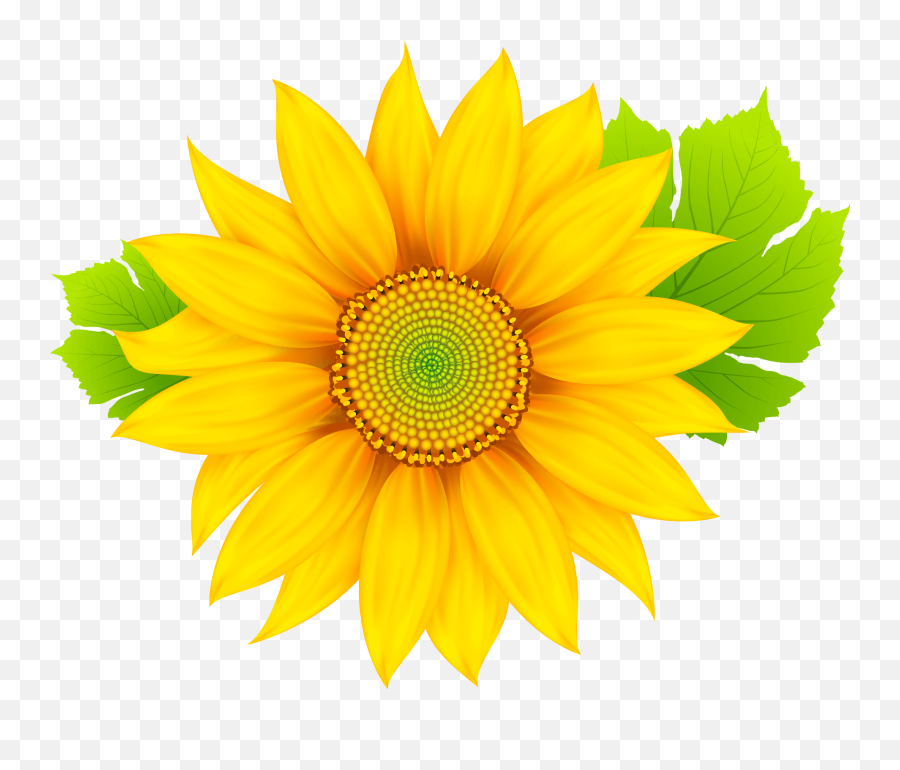 Sun Flower Clipart Png Image Free - Molde Flor Girassol Png Emoji,Flower Clipart