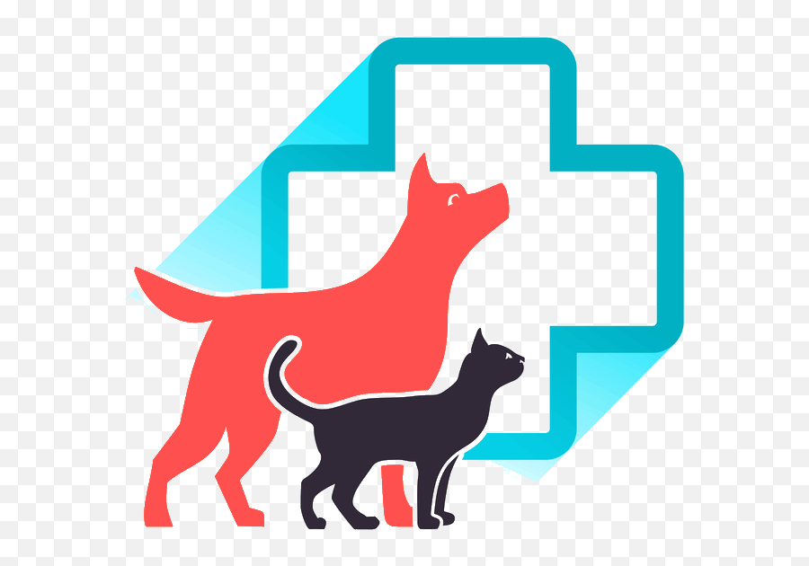 Veterinarian Cedar Hill Mo - Animal Clinic Png Emoji,Veterinarian Clipart