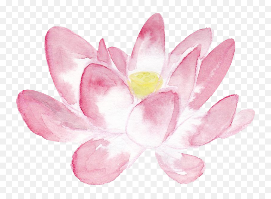 Lotus Flower Png Png All - Girly Emoji,Lotus Flower Png