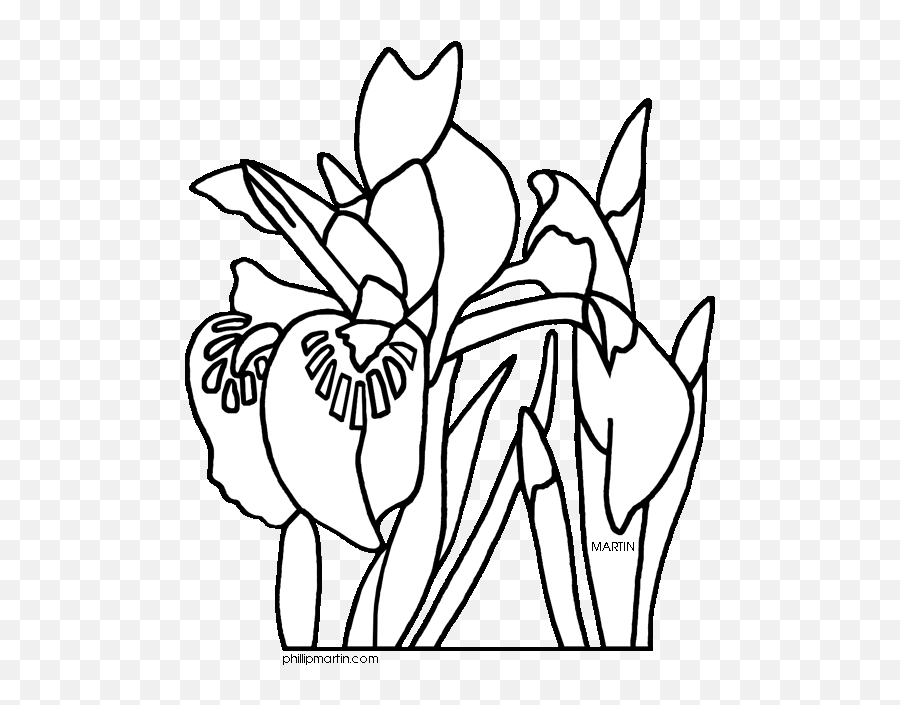 Iris Flower Clip Art Free - Tennessee State Flower Drawing Emoji,Louisiana Clipart