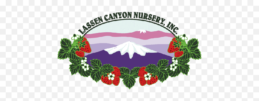 Lassen Canyon Nursery Strawberry Growers Emoji,Canyon Clipart