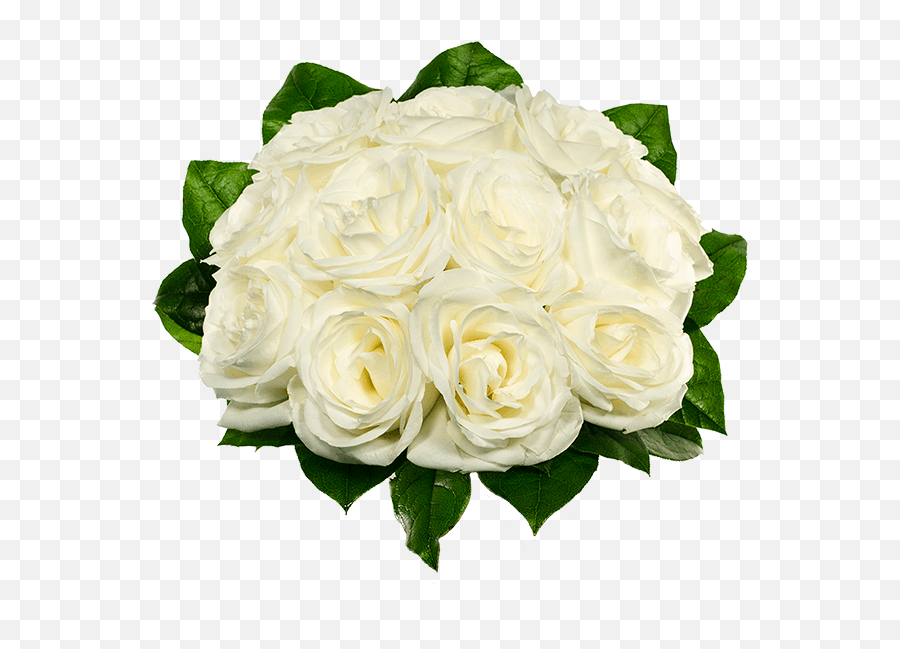 Dozen Roses One Dozen Roses Fromyouflowers Emoji,White Roses Png