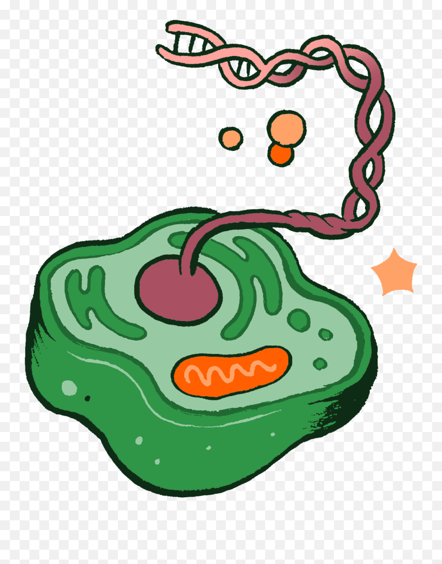 Gmos Are Better For The Environment Than Youu0027d Think Emoji,Biodiversity Clipart
