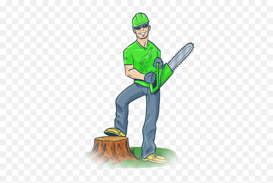 Three Ways Tree Roots Can Damage Your Property Emoji,Tree Root Png