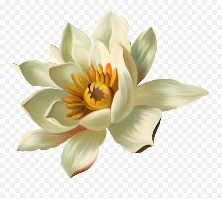 Uploads Lotus Flower Lotus Flower Png1 - Png Press Emoji,Lotus Flower Transparent
