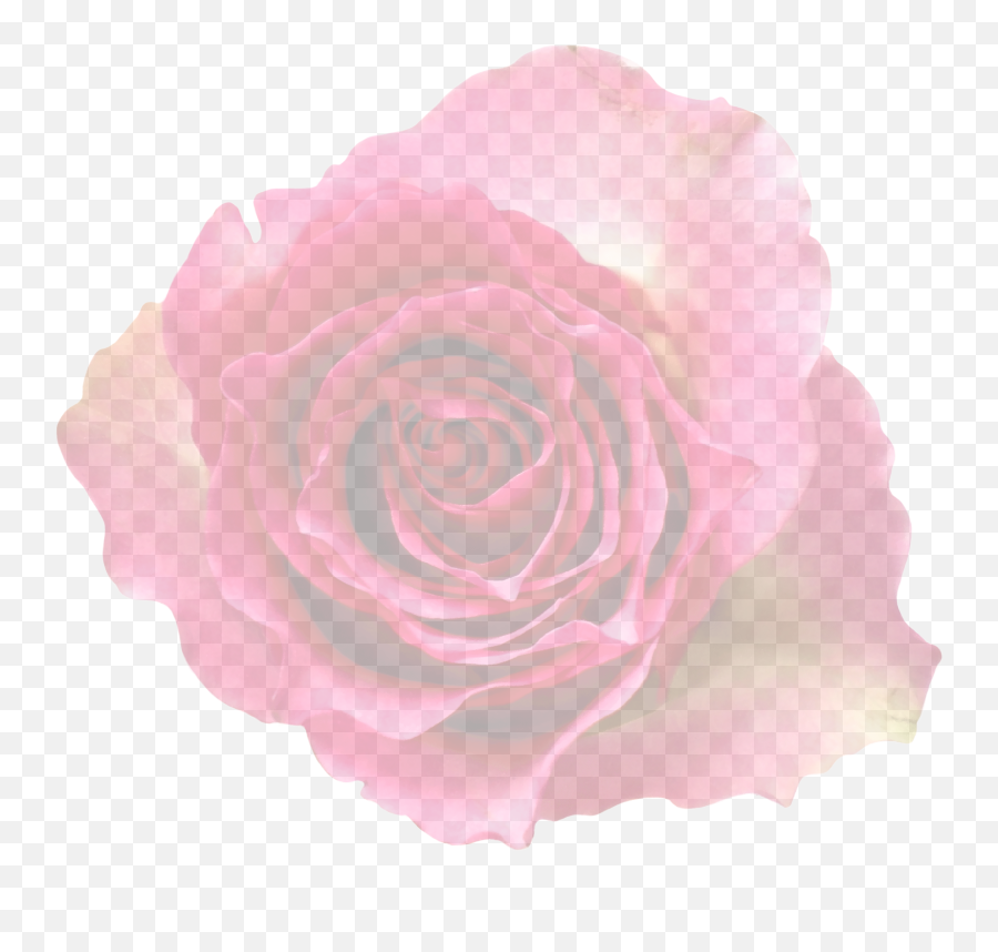 Beautiful Rose Flower Clipart Free Image - Lovely Emoji,Flower Clipart