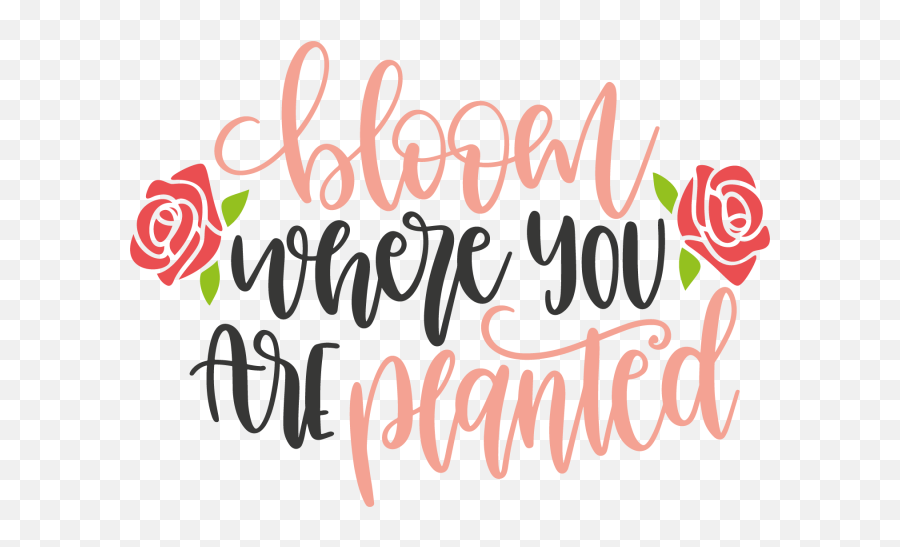 Bloom Where You Are Planted 7882 Free Svg Svg Files For - Dot Emoji,Free Svg Clipart For Cricut