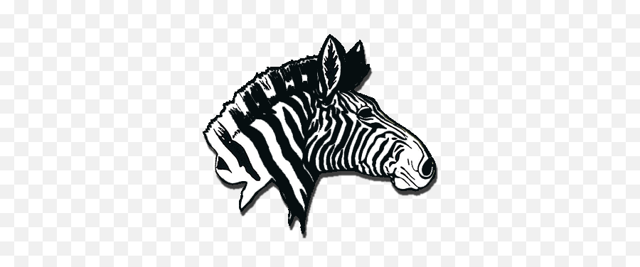 Rochester High School Zebras - Rtctv4 Rochester Zebras Emoji,Zebra Logo
