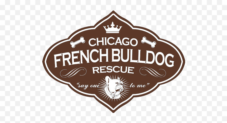 Clothing Shoes U0026 Accessories Chicago French Bulldog Logo - Islington College Emoji,Bulldog Logo