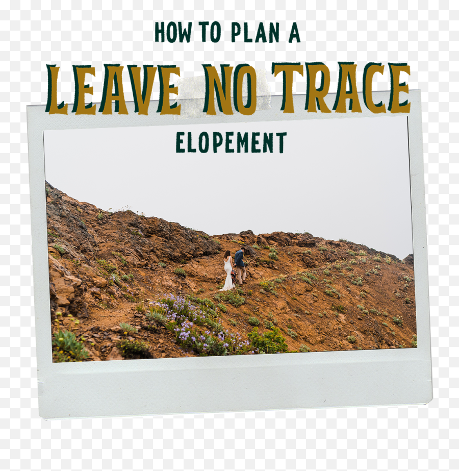 How To Plan A Leave No Trace Elopement U2014 Between The Pine - Outcrop Emoji,Leave Png