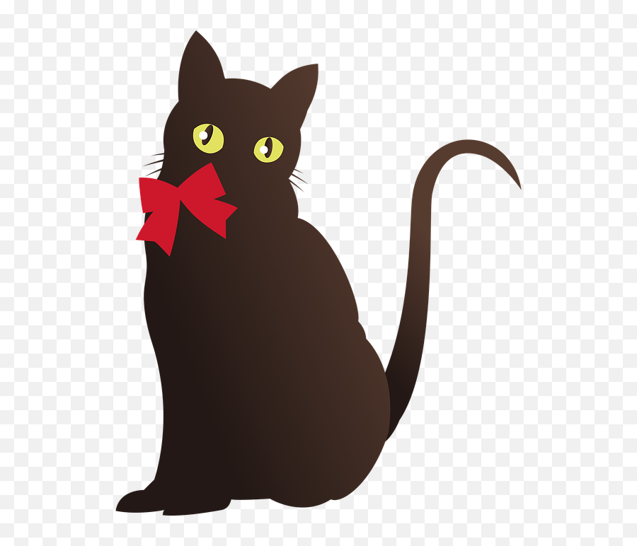 Free Photo Cat Black Cat Whiskers Tail Emoji,Cat Whiskers Png