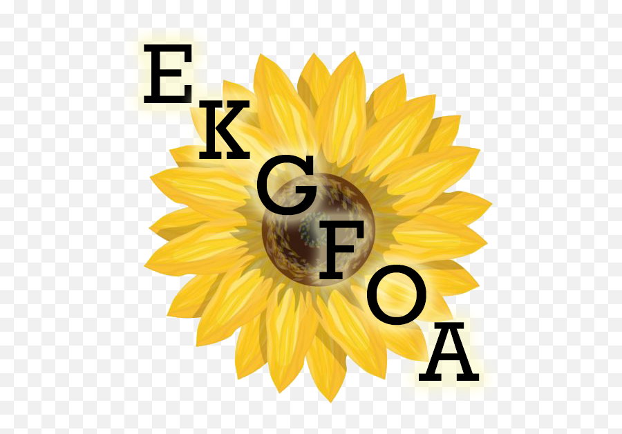 Download Sunflower Vector Png - Full Size Png Image Pngkit Emoji,Sunflower Vector Png