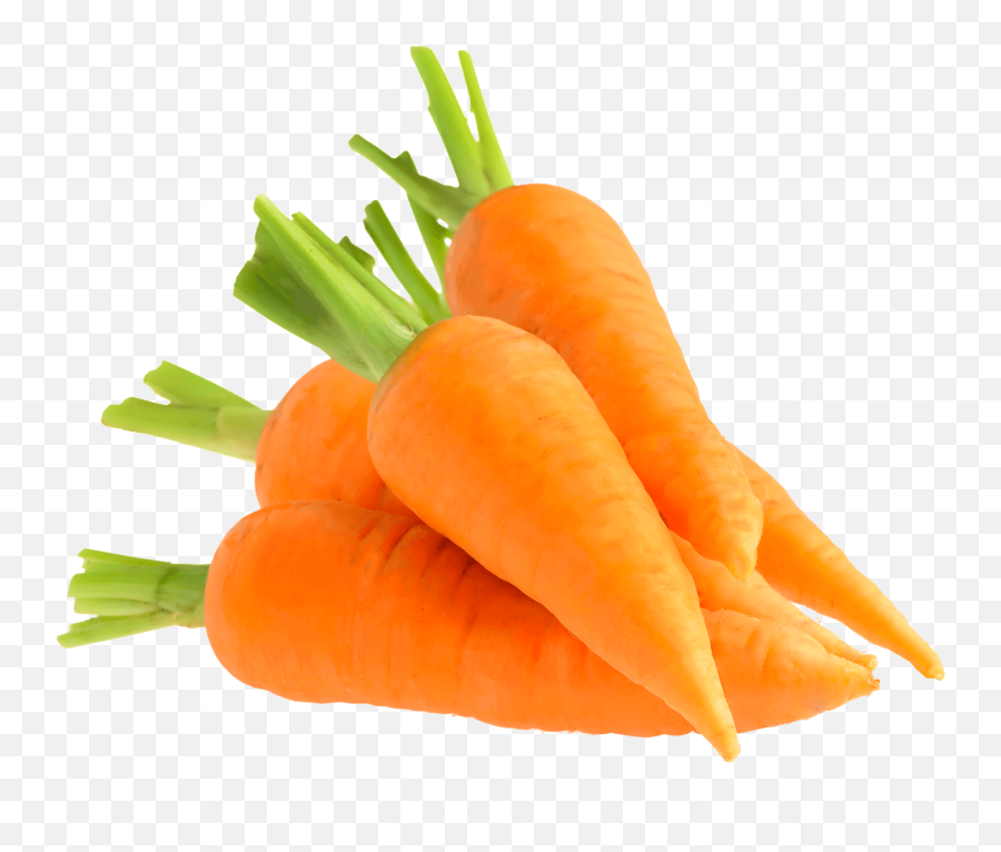 Carrot U2013 Flower Board - Carrots Product Emoji,Carrot Png