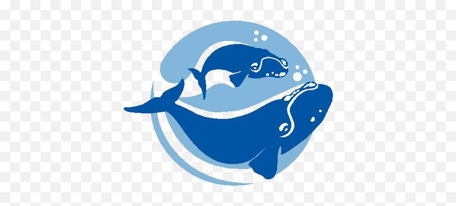 4th Grade Cetacean Curriculum - Fish Emoji,Whale Logo