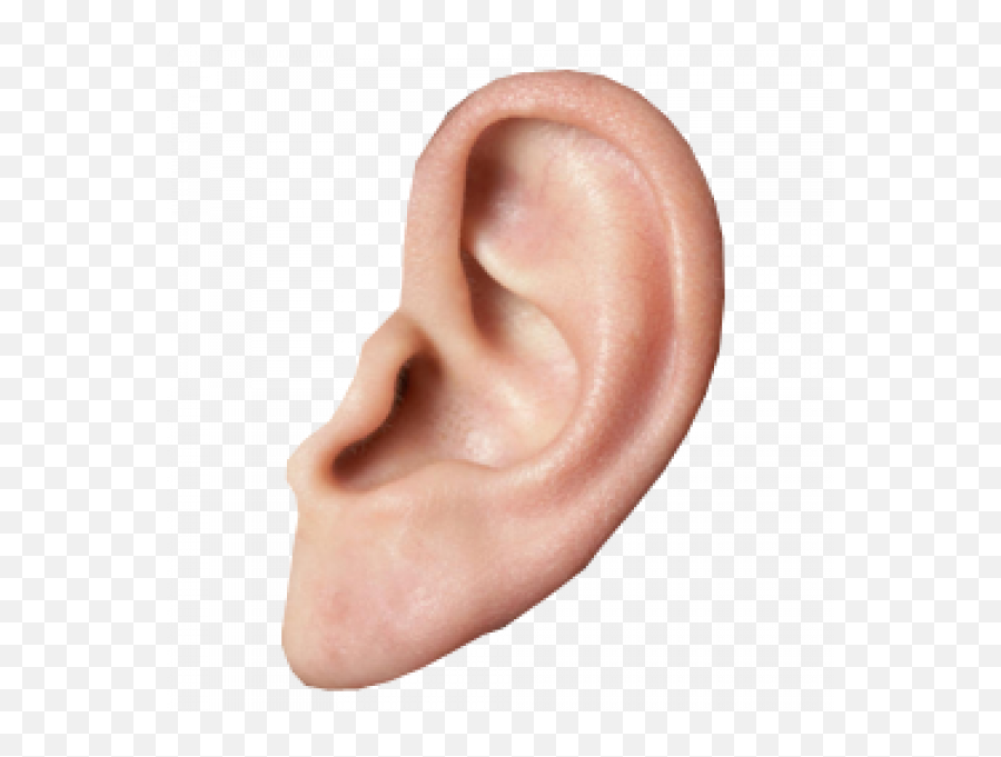Ear Clipart Png Transparent Images - Walking Ear Emoji,Ear Clipart