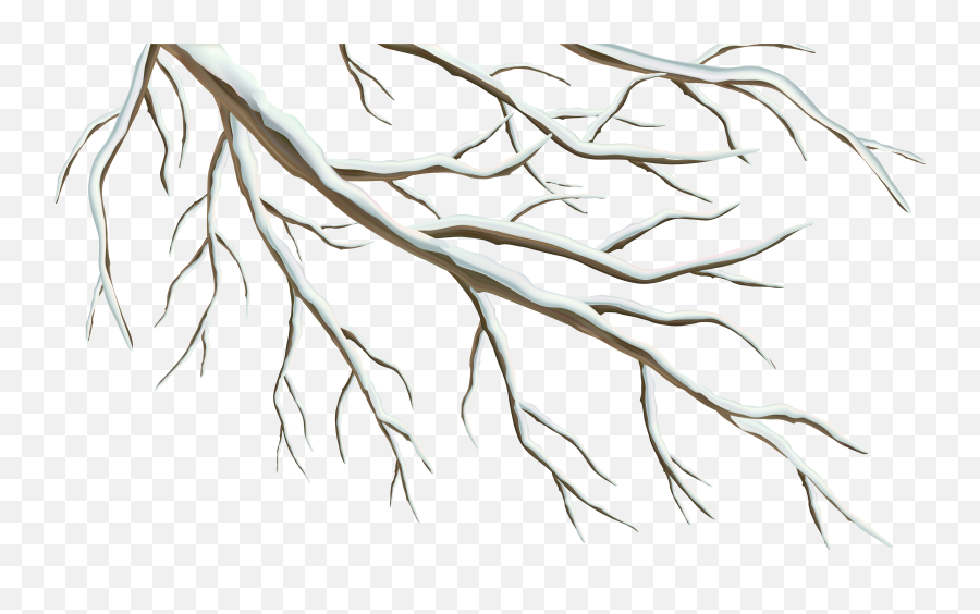 Winter Branch Cliparts Png Images - Tree Branches Winter Drawing Emoji,Winter Tree Clipart