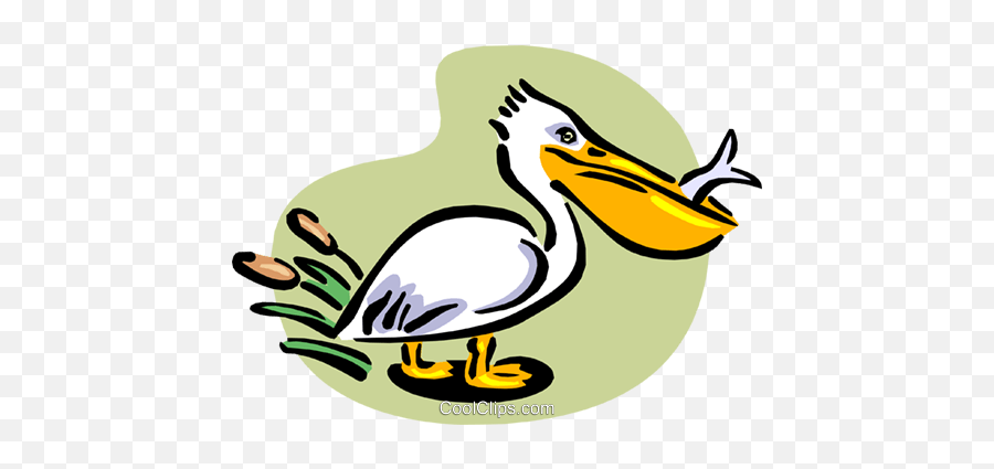 Pelican With Fish Royalty Free Vector - Pelican Clip Art Emoji,Pelican Clipart