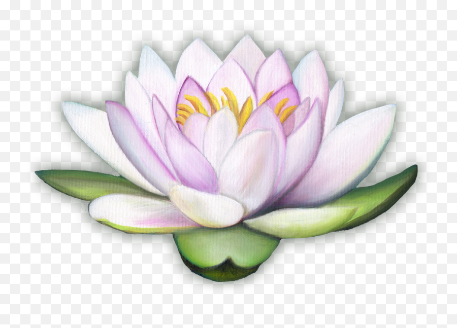 Welcome U2014 Journey To The Magic World - Emergent Vegetation Emoji,Lotus Flower Png