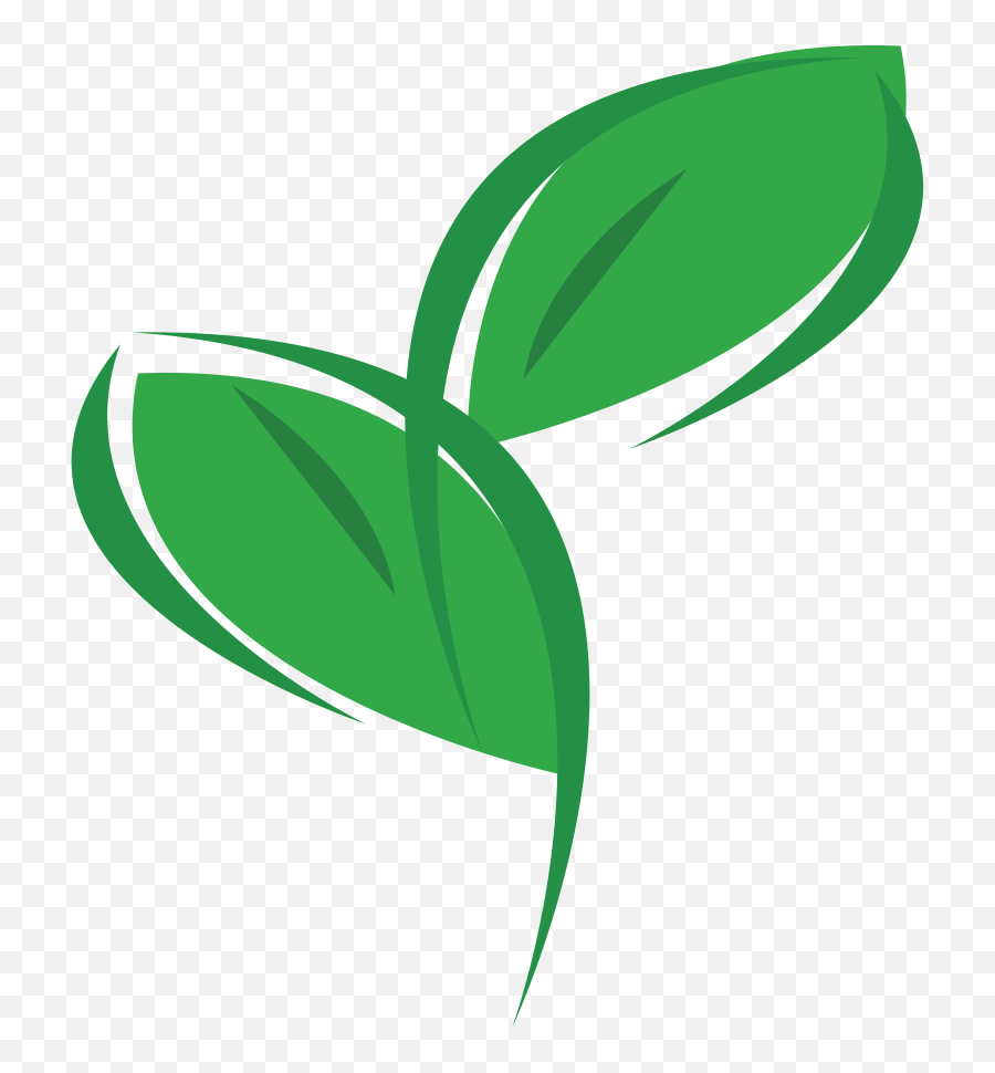 Eco Friendly Transparent Png Image - Leaf Eco Friendly Png Emoji,Eco Friendly Logo