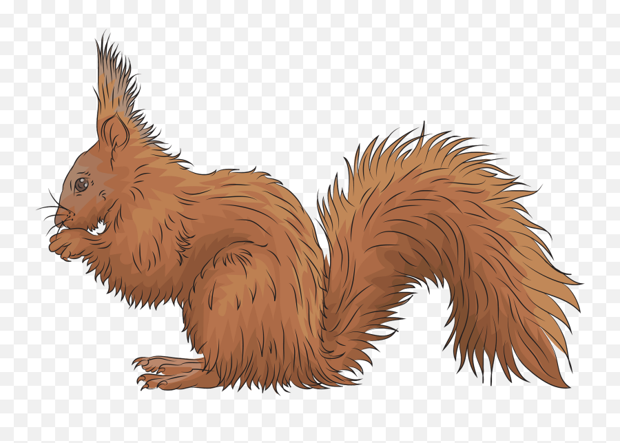 Red Squirrel Clipart Free Download Transparent Png Creazilla - Red Squirrel Emoji,Squirrel Clipart