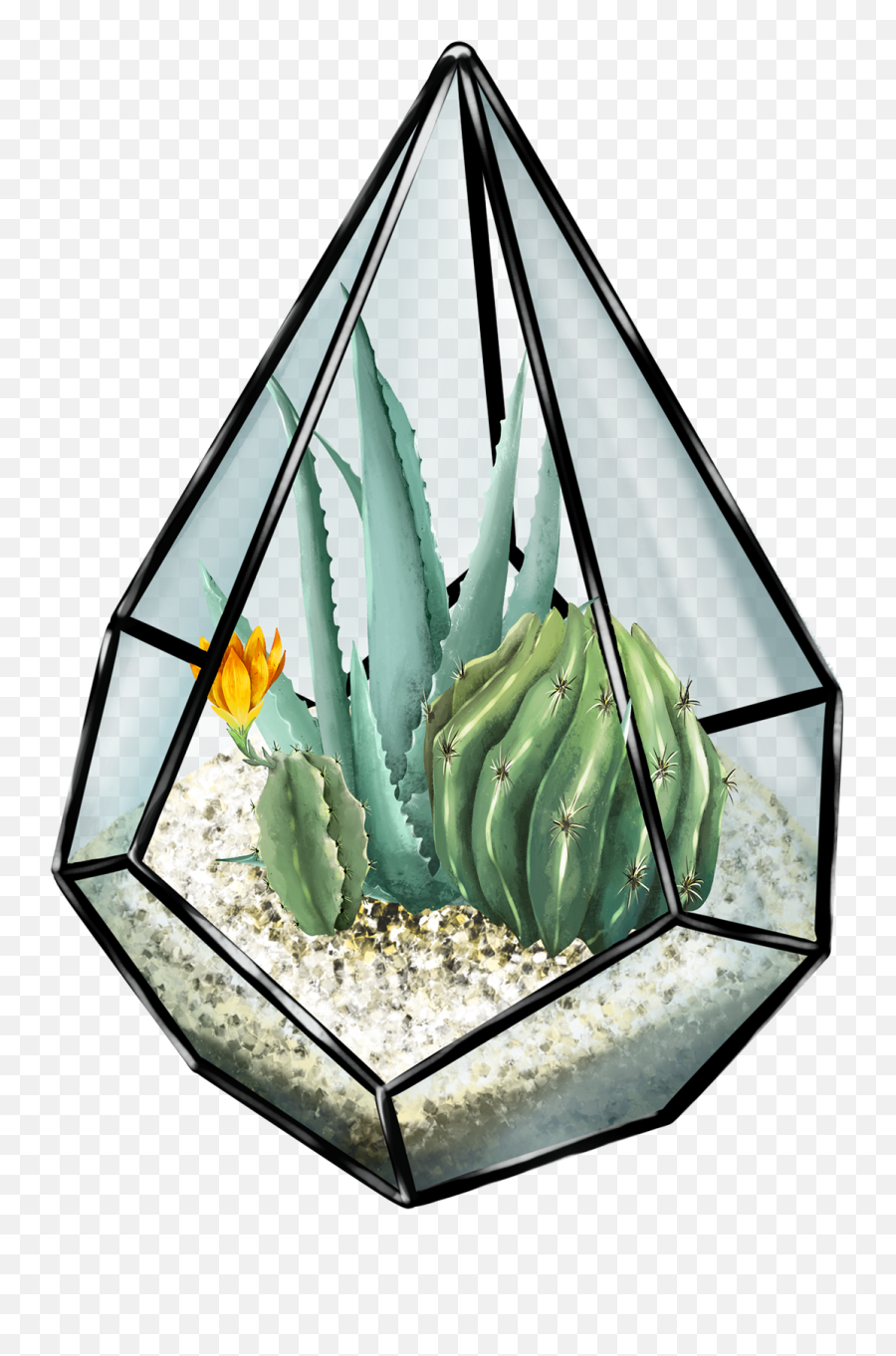 Succulent Terrarium Illustration - Vertical Emoji,Succulents Clipart