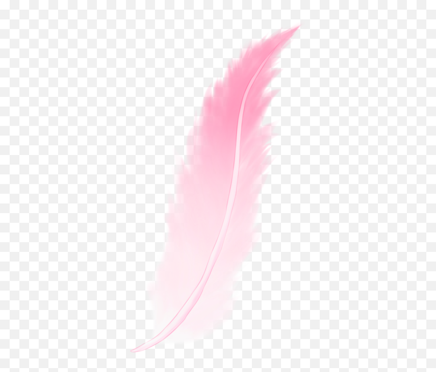 Download Pink Feather Png - Transparent Pink Feather Png Emoji,Feather Png