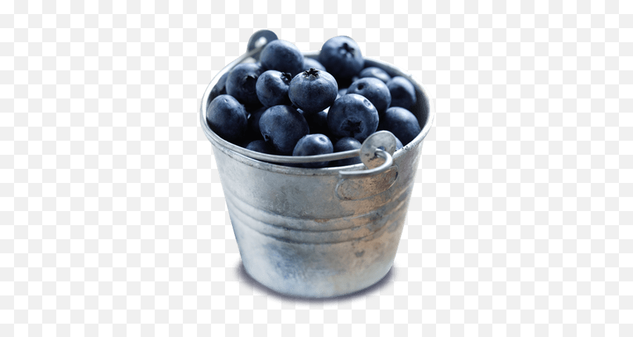 Blueberries Transparent Png Images - Stickpng Bowl Of Blueberries Transparent Emoji,Blueberry Png