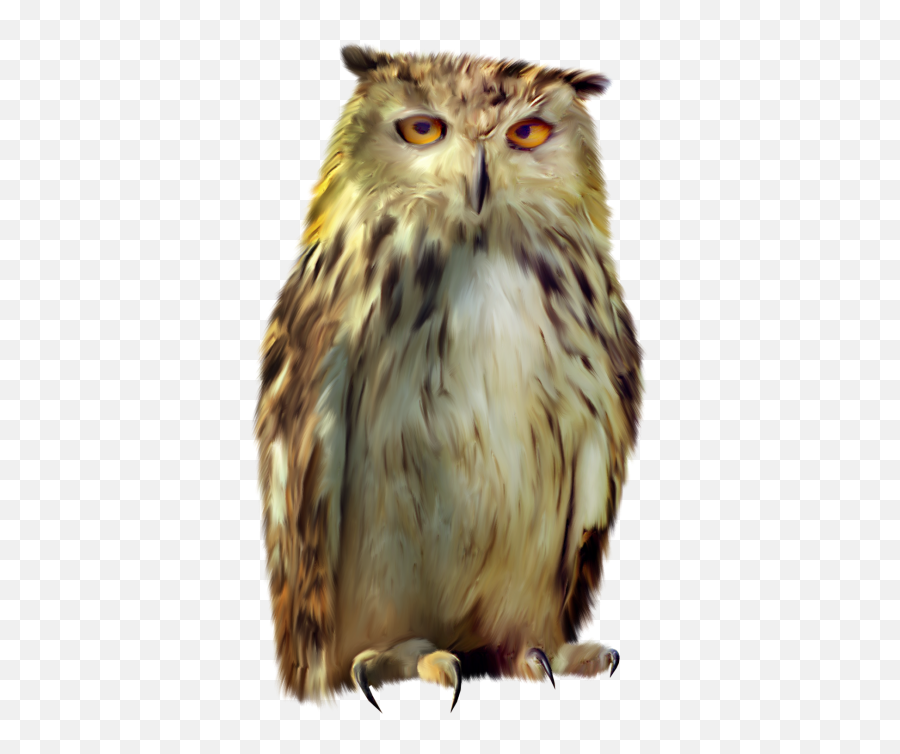 Download Owl Free Png Transparent Image And Clipart - Prediksi Angka Jitu Sgp 16 Maret 2020 Emoji,Owl Transparent Background
