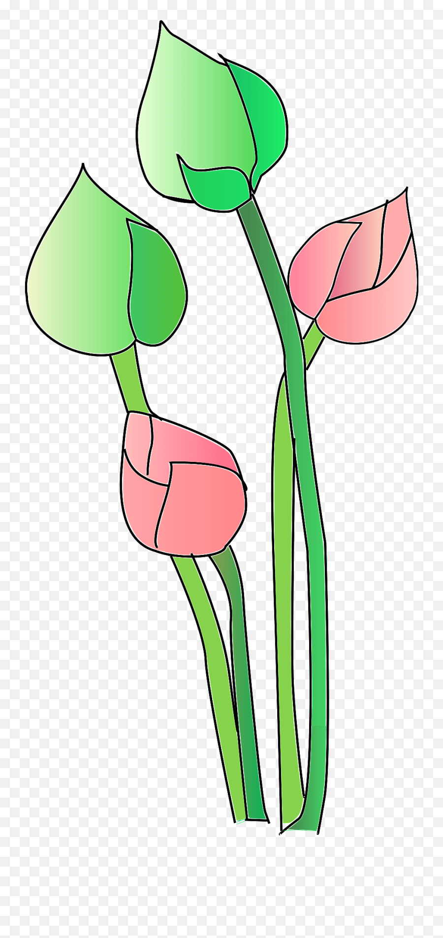 Pink And Green Lotus Clipart Free Download Transparent - Vesak Png Emoji,Lotus Clipart