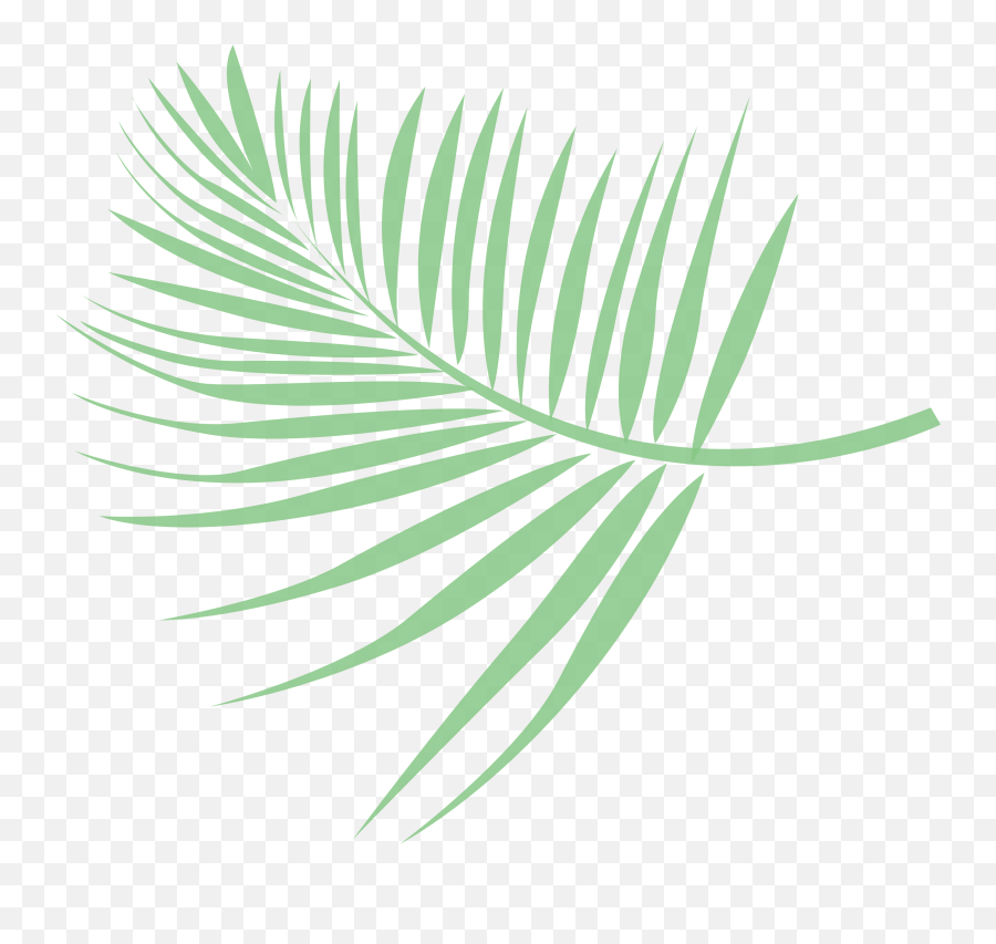 Free Leaf Palm 1201820 Png With Transparent Background - Hoja De Palma Png Emoji,Palm Leaves Png