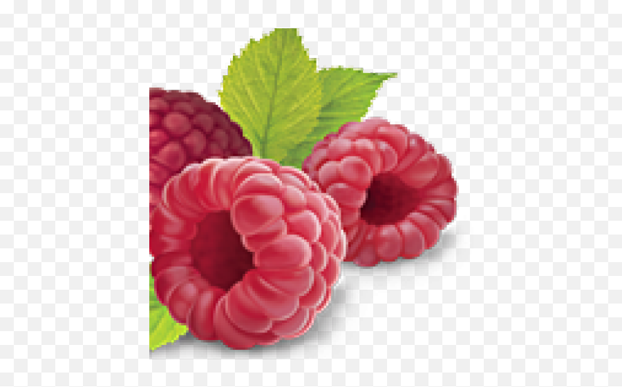 Raspberry Clipart Transparent - Raspberry Emoji,Raspberry Clipart
