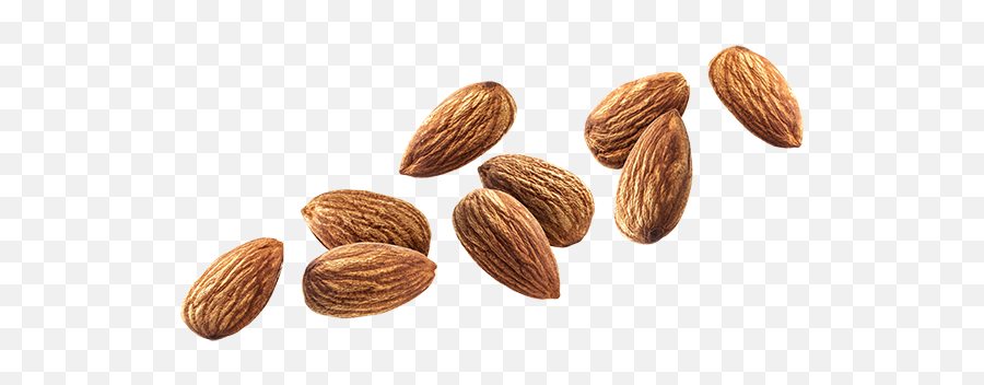 Almond Nut Png Transparent Image - Falling Almonds Png Emoji,Nut Png