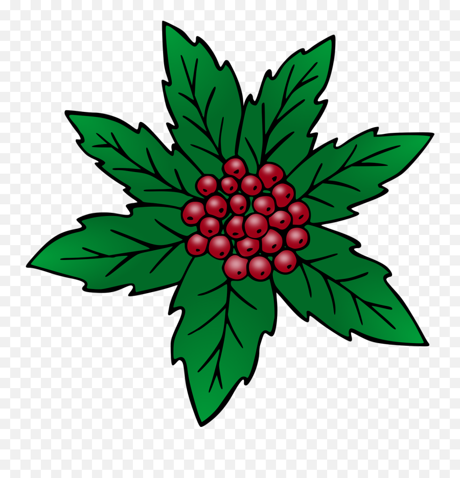 Holly Christmas Mistletoe - Natural Foods Emoji,Mistletoe Png