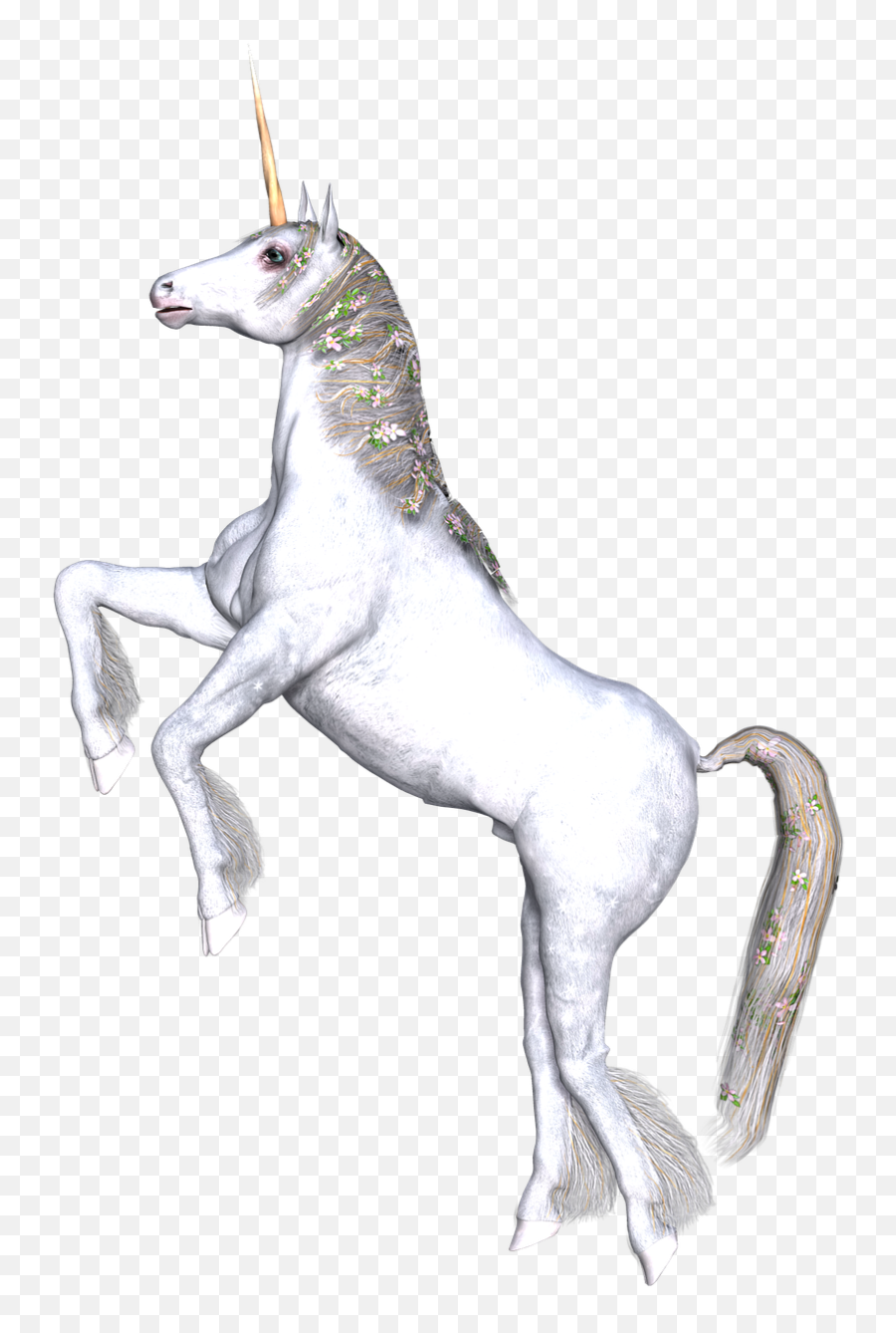 Unicorn Fantasy Fairy Tale Public Domain Image - Freeimg Unicorn Emoji,Unicorn Head Clipart Black And White