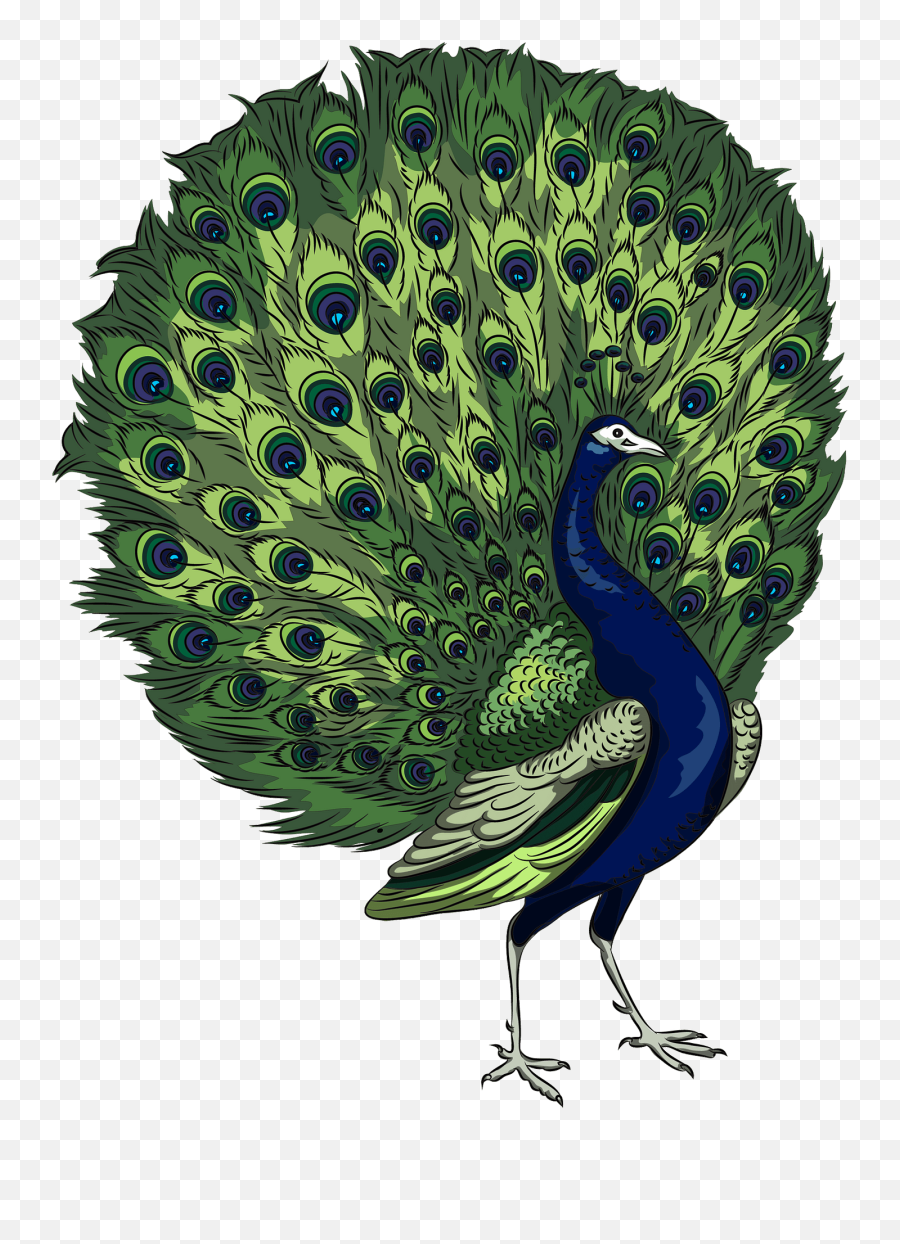 Peacock Clipart - Peafowl Emoji,Peacock Clipart