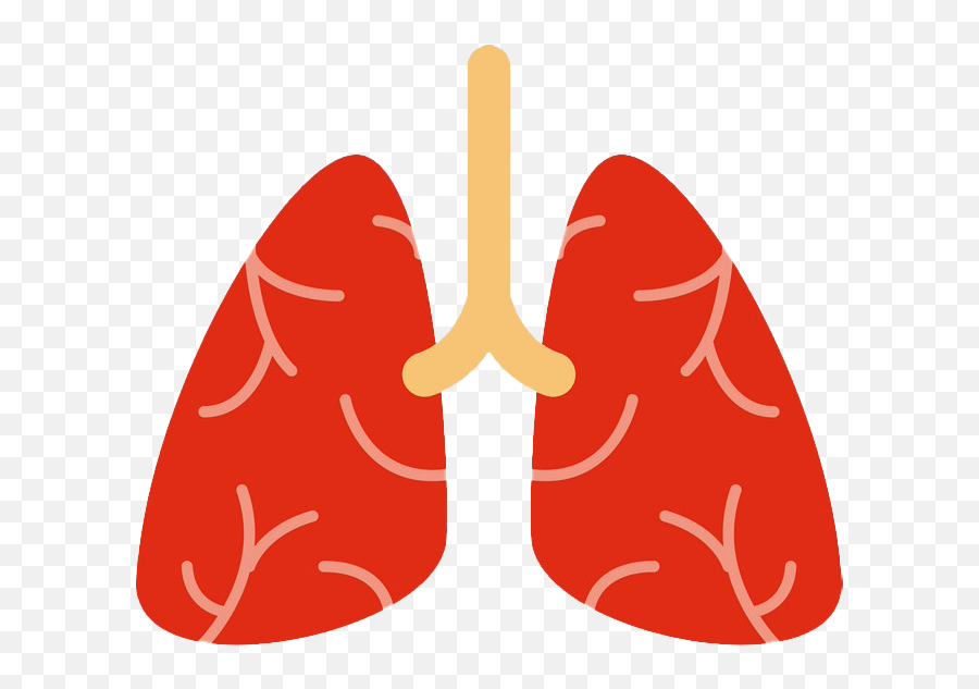 Lungs Png Clipart Background - Transparent Background Lung Clipart Emoji,Lungs Clipart