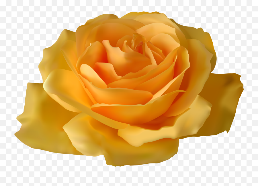 Download Yellow Rose Png Clipart - Purple Rose With Stem Portable Network Graphics Emoji,Rose Transparent Background