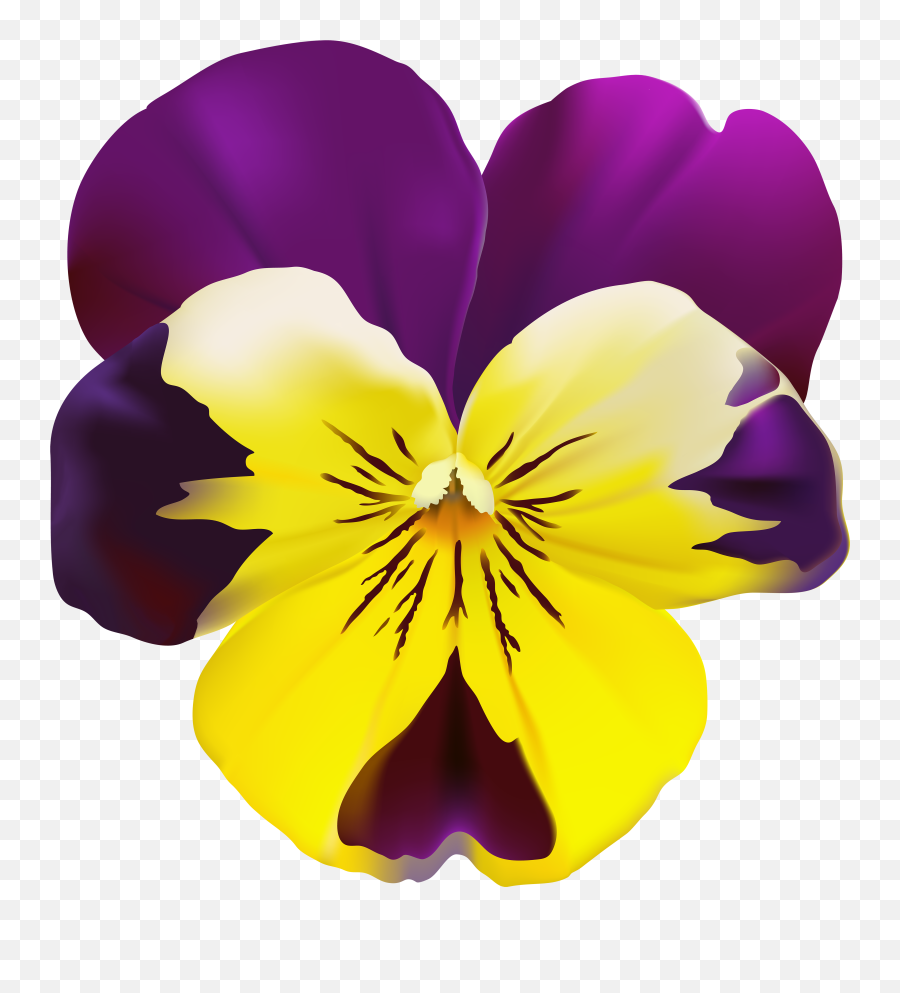 Violet Flower Png Picture 2230678 Violet Flower Png - Pansy Flower Png Hd Emoji,Purple Flower Clipart