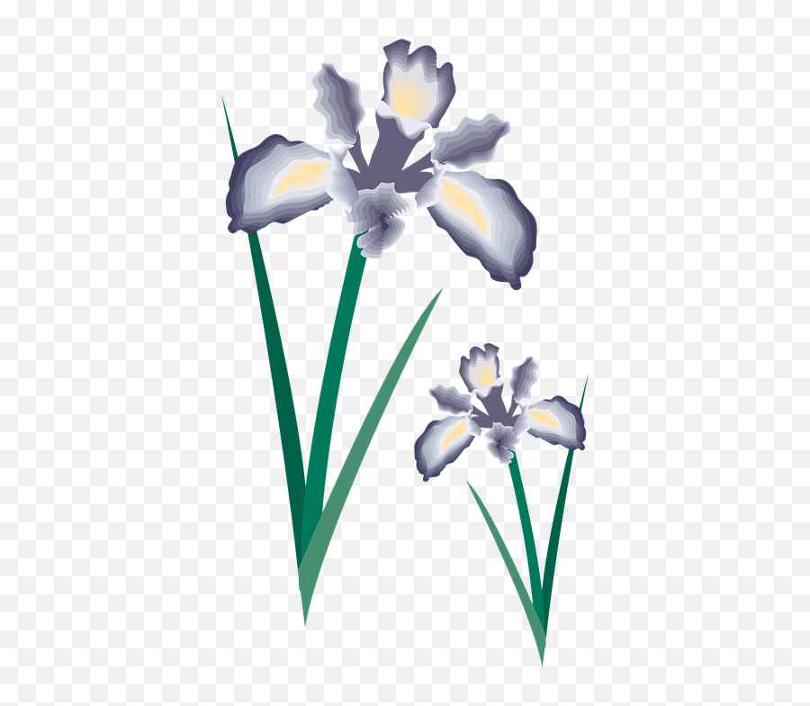 Flower Clipart Decoration - Irises Emoji,Flower Clipart