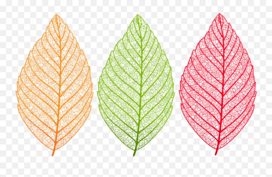 Download Download Transparent Leaves Set Clipart Png Photo - Transparent Leaf Clipart Png Emoji,Leaf Transparent Background