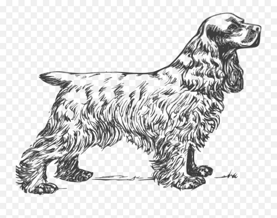Free Image On Pixabay - Spaniel Breed Dog Pet Fur Dog Cocker Spaniel Clipart Emoji,Free Clipart Dog