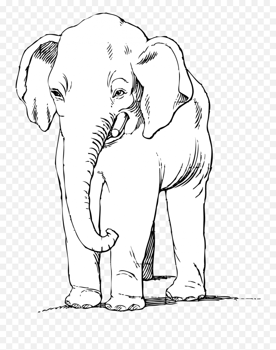 Elephant Clipart Drawing Free Stock - Indian Elephant Emoji,Elephant Clipart