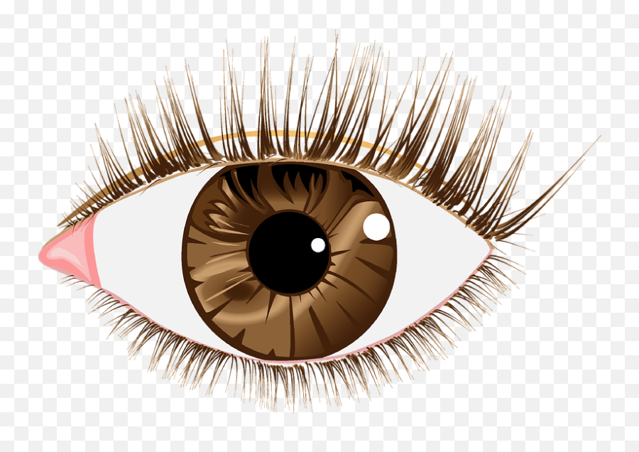 Download Eye Lashes Images - Brown Eyes Png Transparent Png Real Brown Eye Png Emoji,Eye Png
