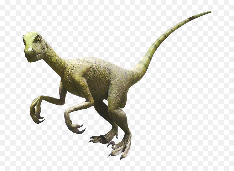 Dinosaur Clipart And Dinosaur Jokes - Velociraptor Real Dinosaur Clipart Emoji,Velociraptor Png