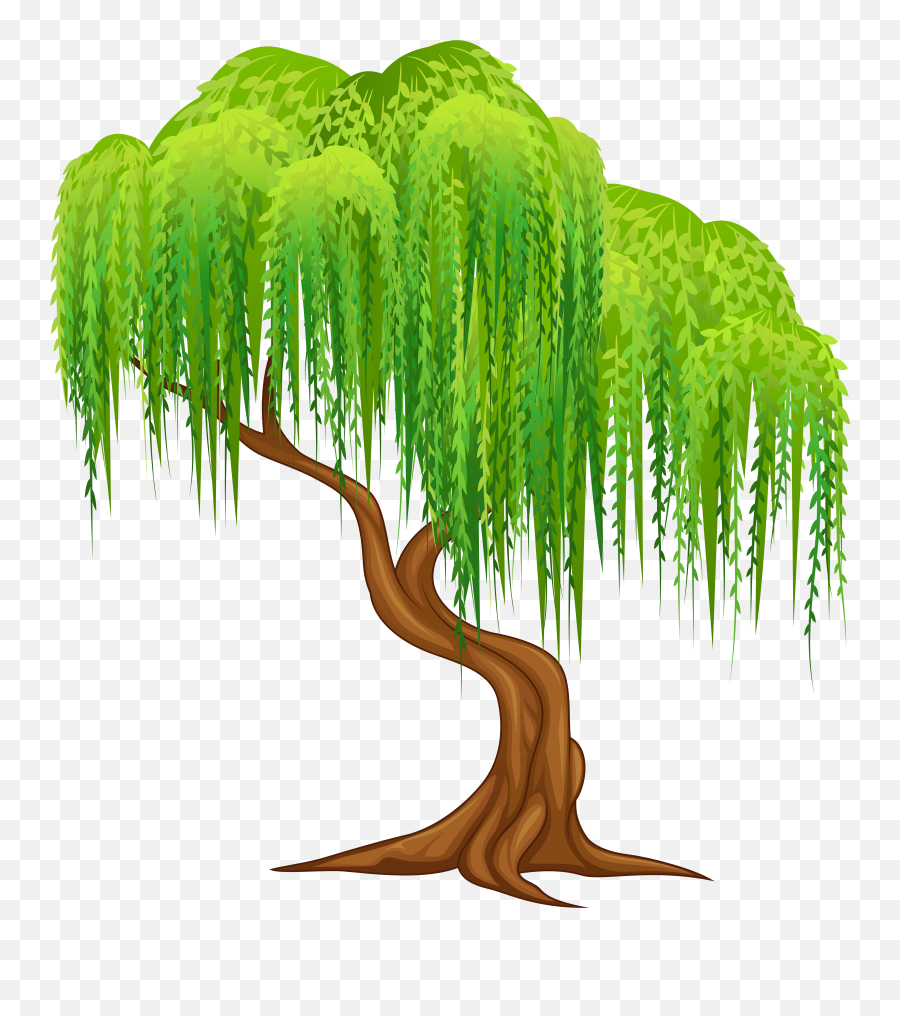 Download Hd Weeping Willow Tree Clipart - Transparent Background Willow Tree Clipart Emoji,Tree Clipart