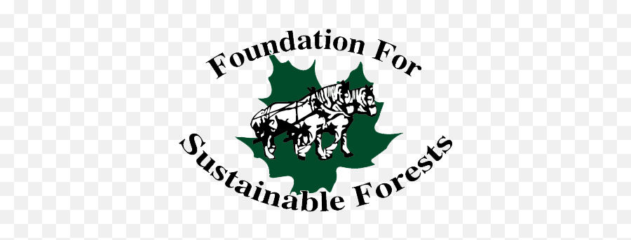 Foundation For Sustainable Forests - Nonprofit Protecting Emoji,Transparent Forest