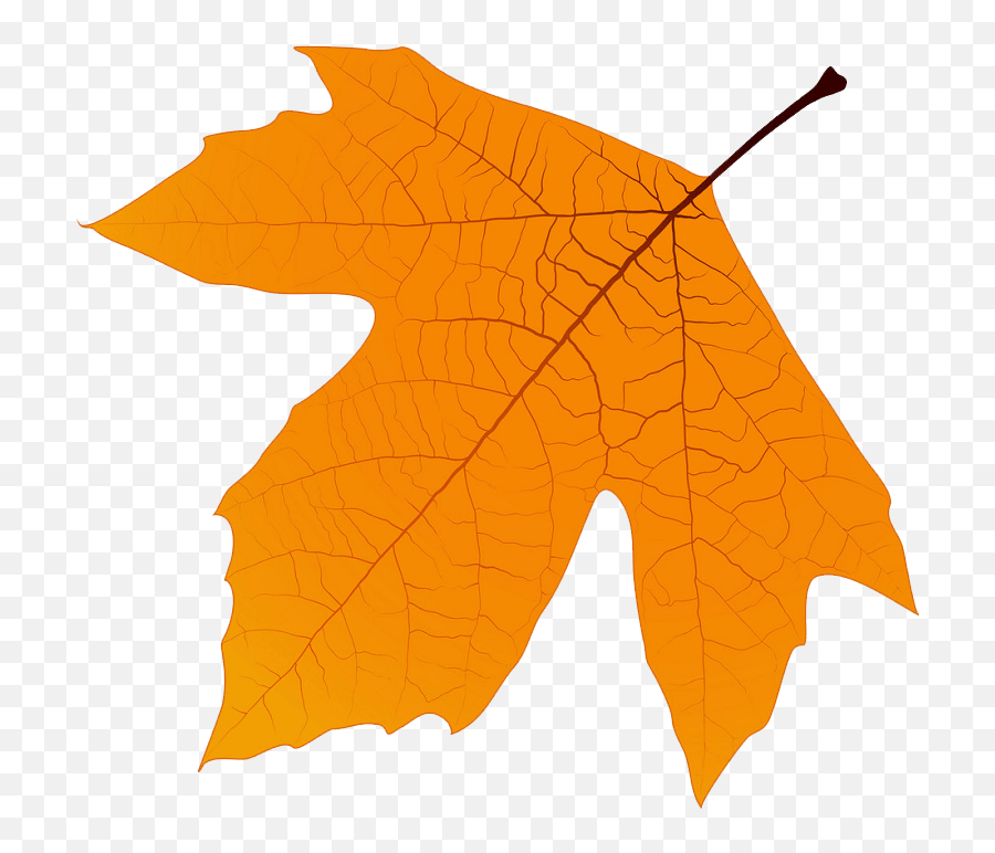 Leaf Clipart - Clipartworld Autumn Emoji,Maple Leaf Clipart