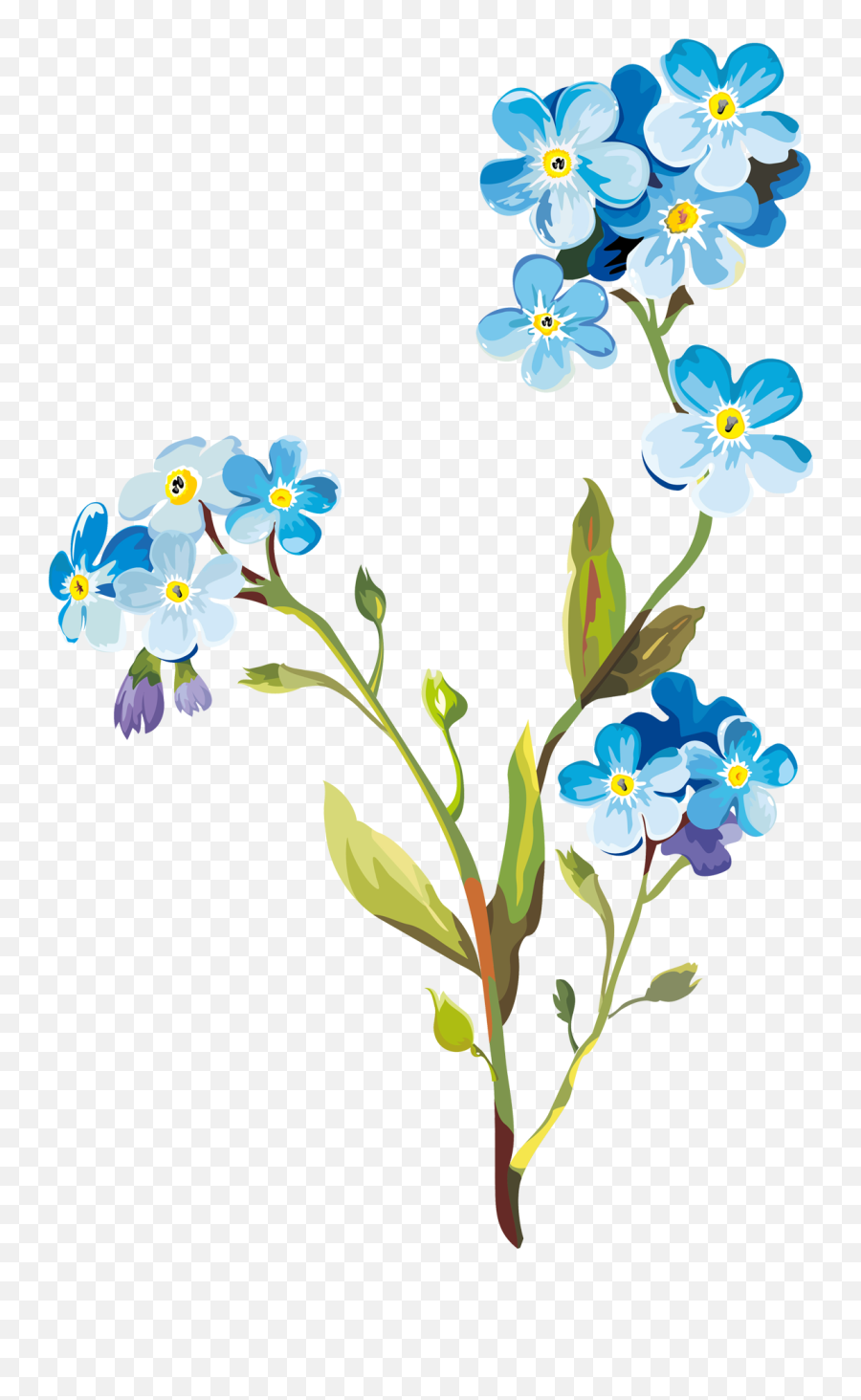 Flower Drawing Clip Art - Spring Flowers Png Download 1137 Spring Flower Drawing Transparent Emoji,Spring Flower Clipart