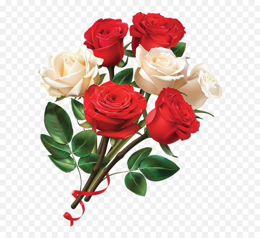 Download Free Png Women Day Red And White Rose Flower Rose Emoji,White Roses Clipart